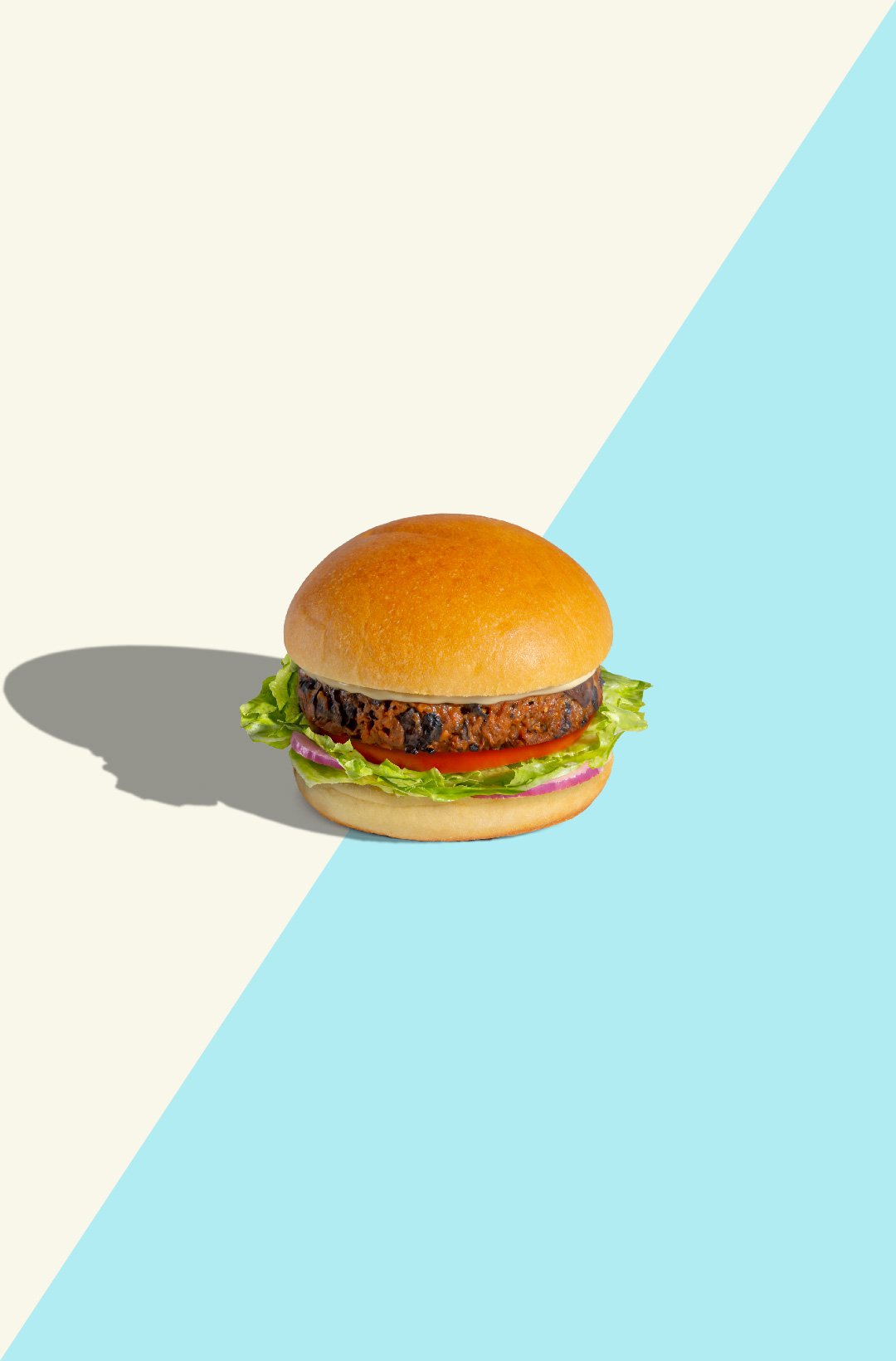 EM_PB_Burgers_Tile_2D